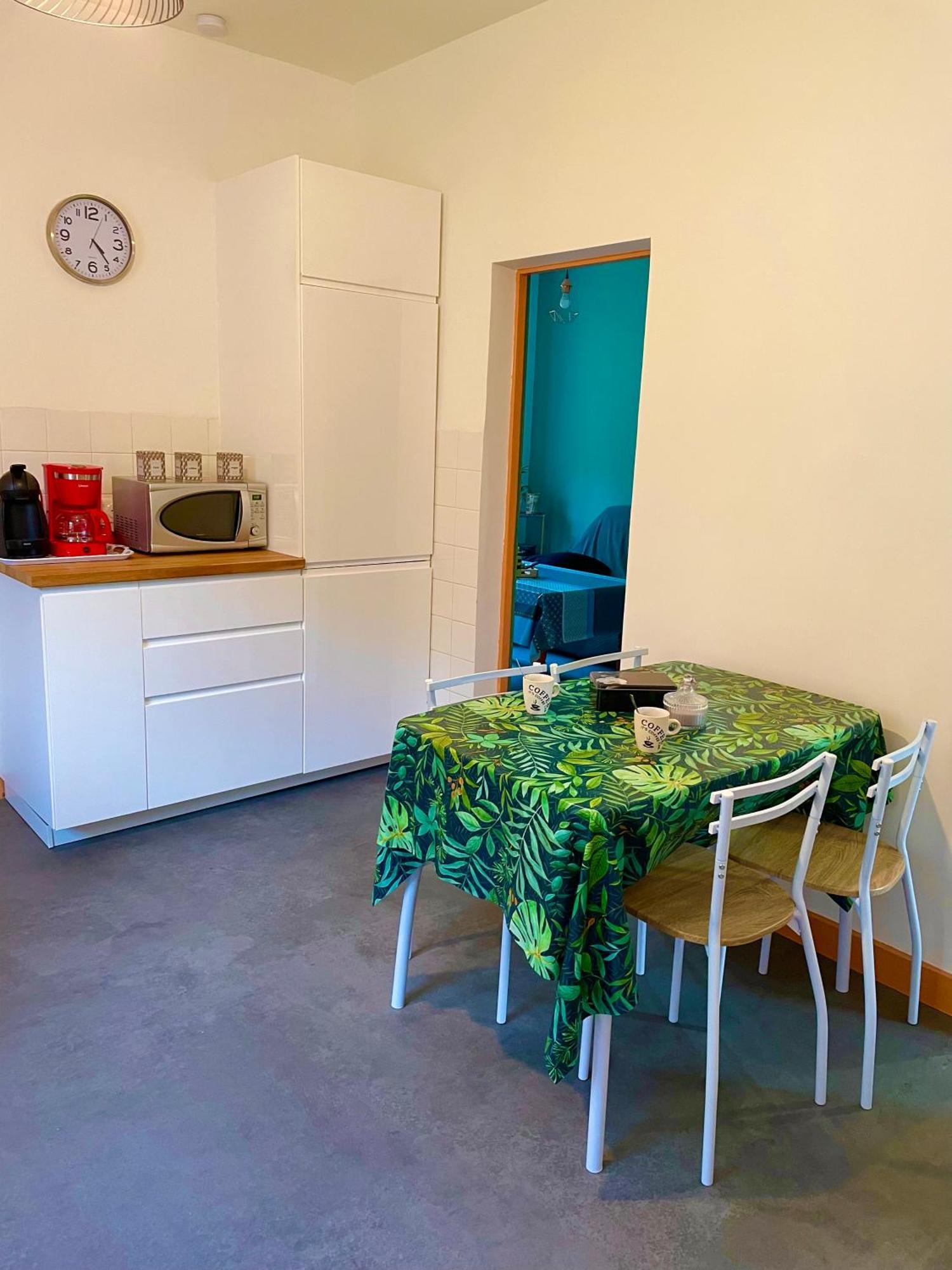 appartement à Tarascon sur Ariège le Sabart Tarascon-sur-Ariège Exterior foto